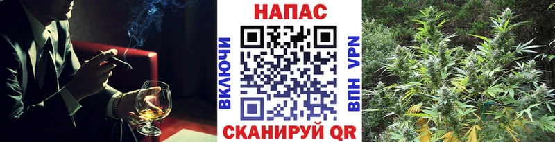 Канабис ГИДРОПОН  ОМГ ОМГ ONION  Новочебоксарск 